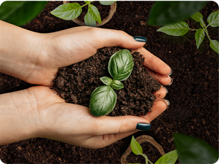 Agriculture and finance