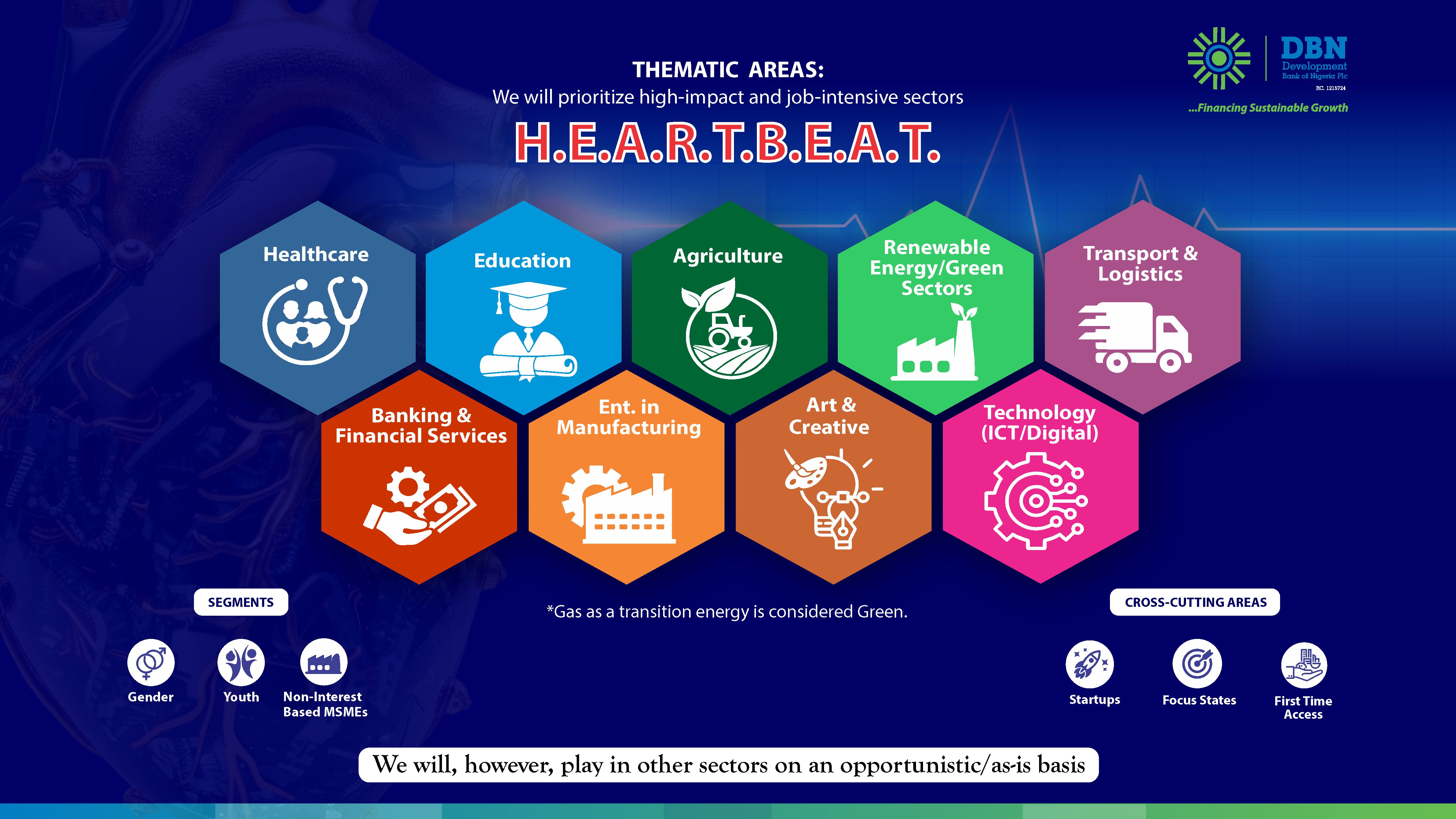 DBN HEARTBEAT thematic areas